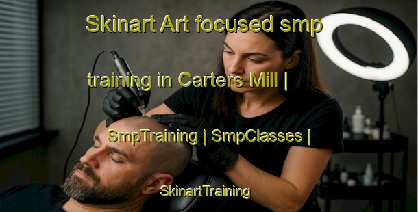 Skinart Art-focused smp training in Carters Mill | SmpTraining | SmpClasses | SkinartTraining-United States